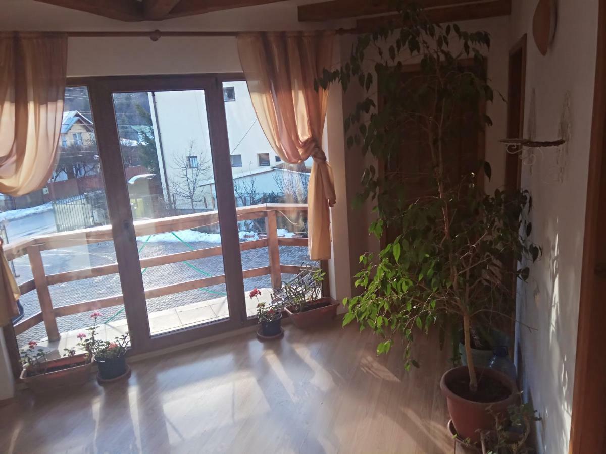 Hotel Casa Alexandru Azuga Zewnętrze zdjęcie