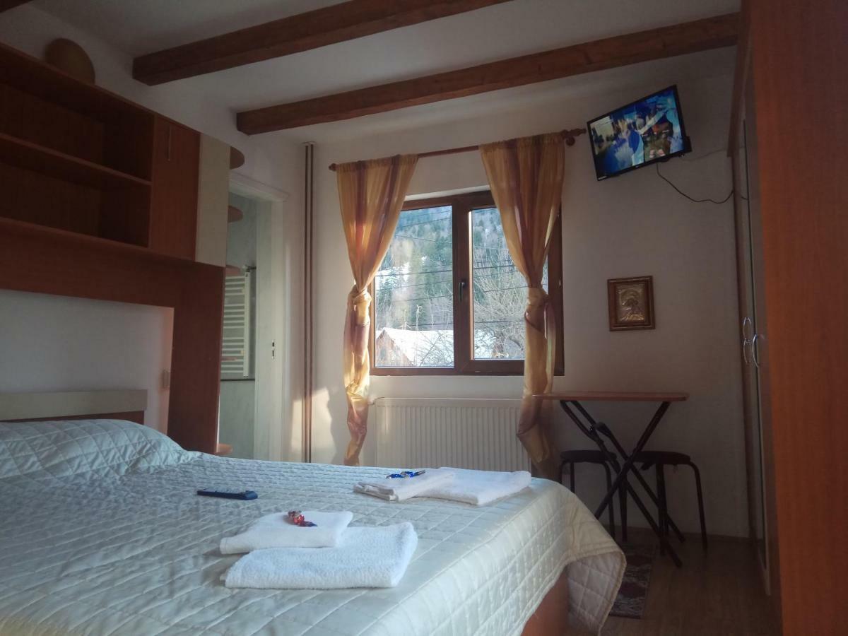 Hotel Casa Alexandru Azuga Zewnętrze zdjęcie