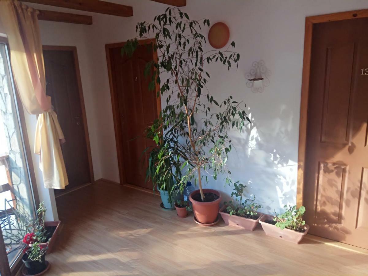 Hotel Casa Alexandru Azuga Zewnętrze zdjęcie