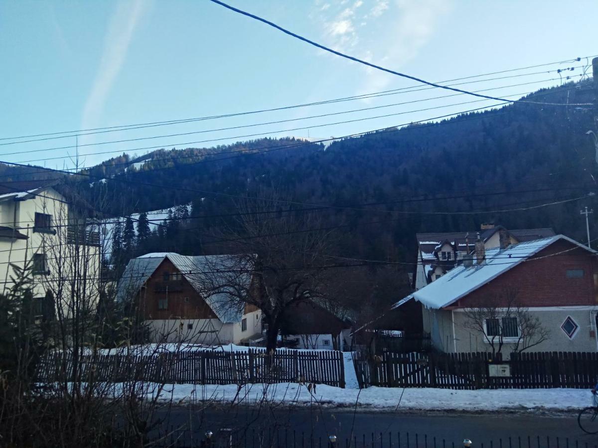 Hotel Casa Alexandru Azuga Zewnętrze zdjęcie