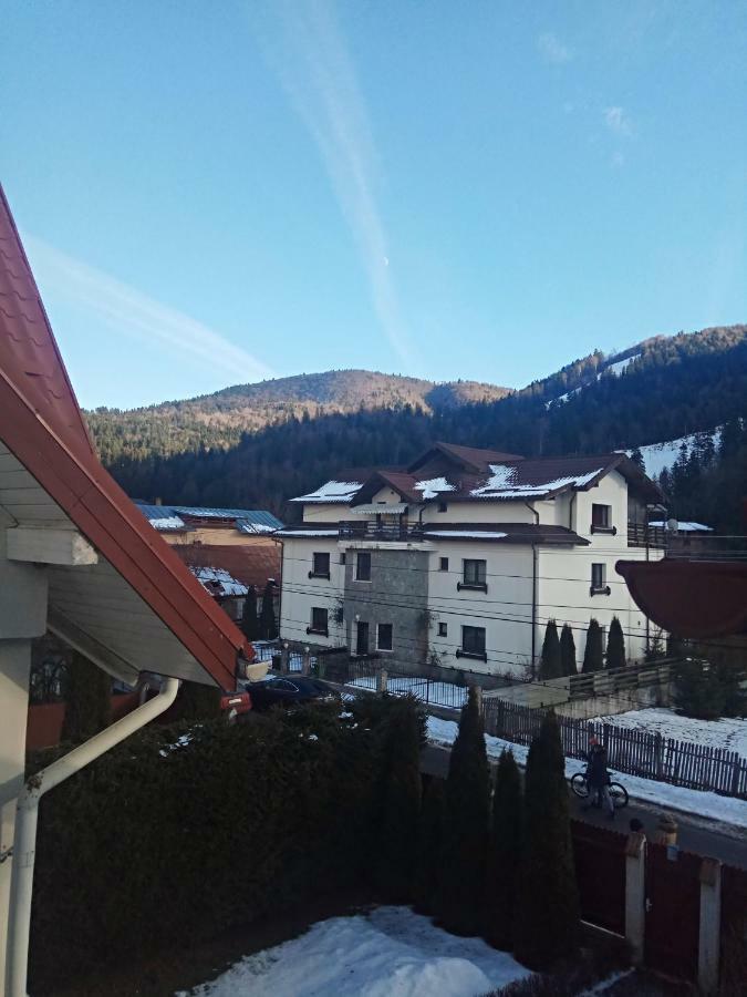 Hotel Casa Alexandru Azuga Zewnętrze zdjęcie